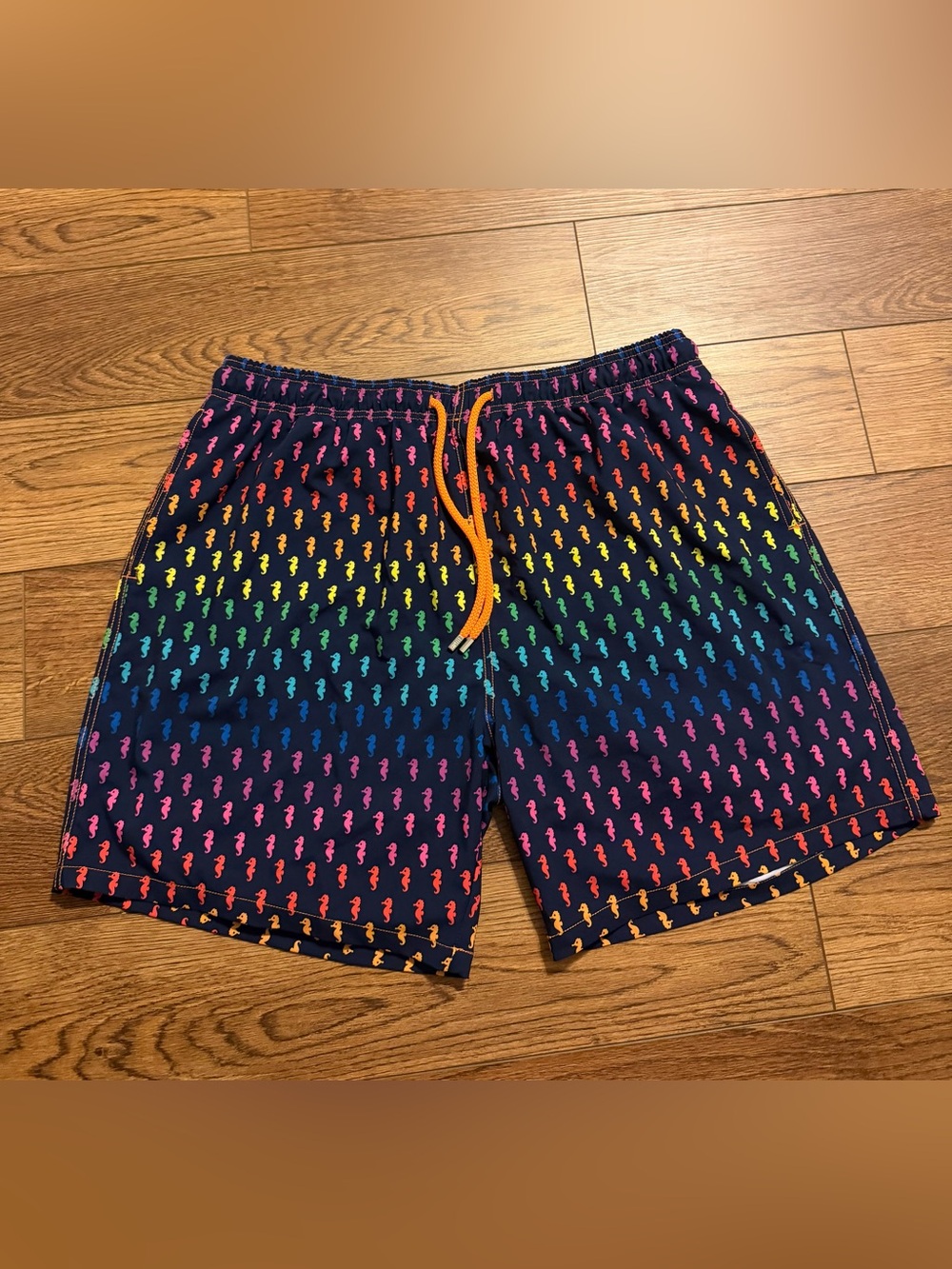 Capelle 3XL Premium Compression  Hybrid Swim Shorts‎ Rainbow Seahorse